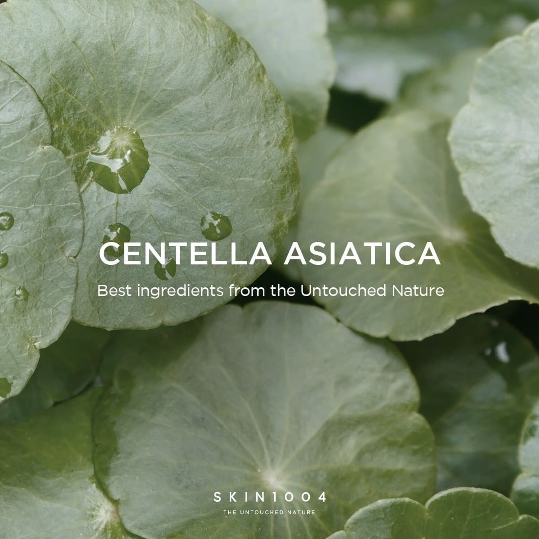 Madagascar Centella Ampoule | SKIN1004